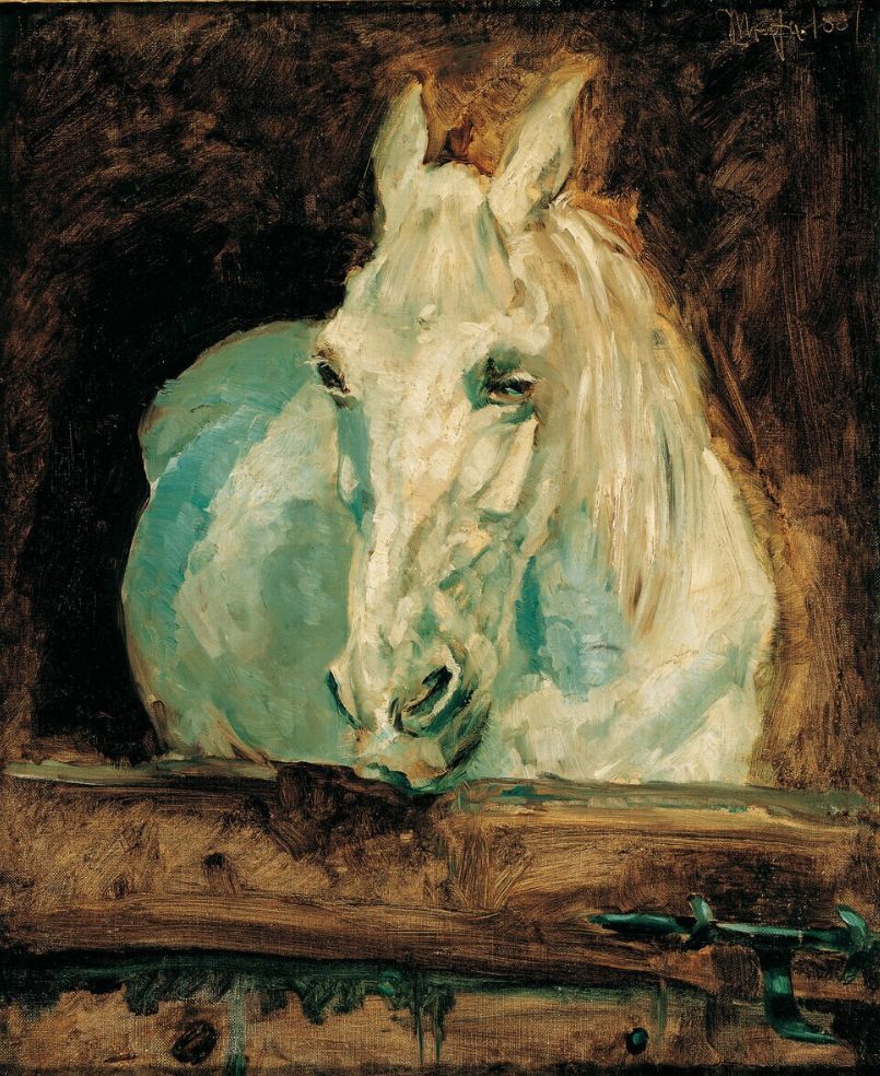 Henri de Toulouse-Lautrec: Der Schimmel "Gazelle", 1881