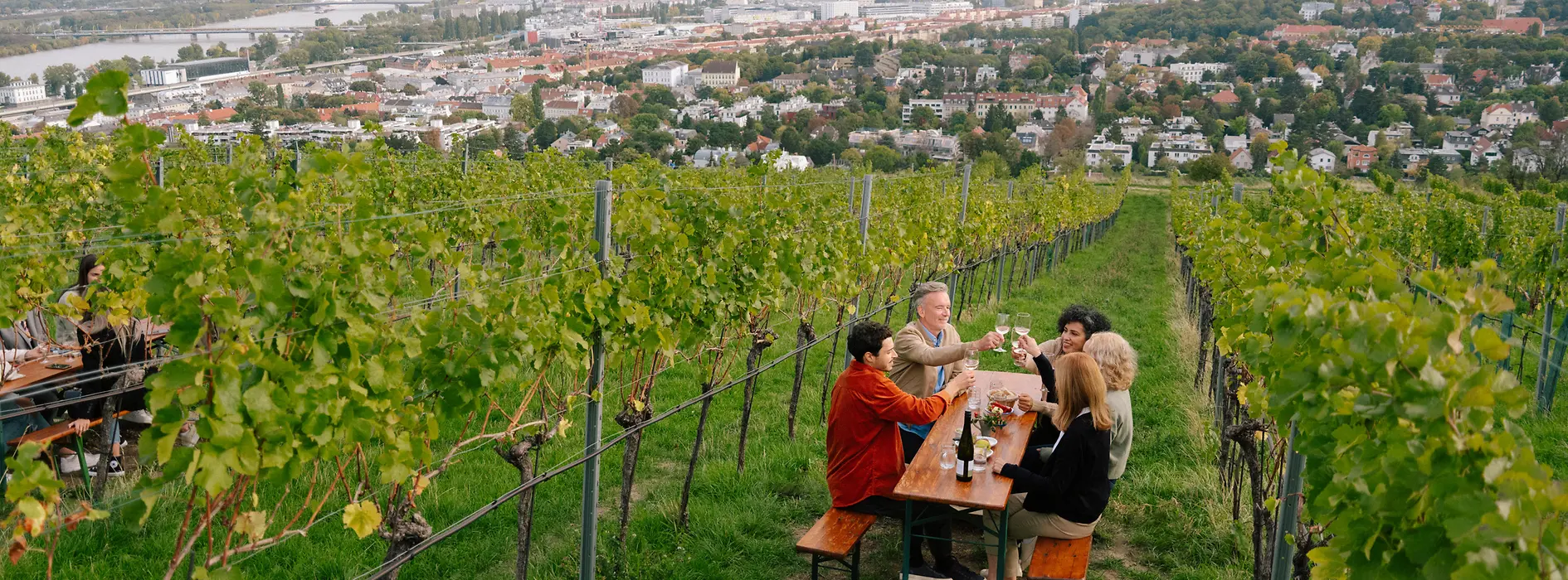 Des jeunes gens boivent du vin à Weinberg