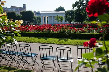 Rosenbeet im Volksgarten