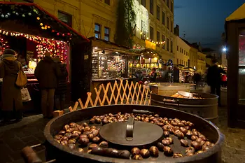 travel to vienna for christmas