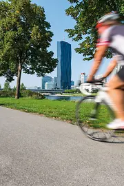 Cyclists on the Danube Island