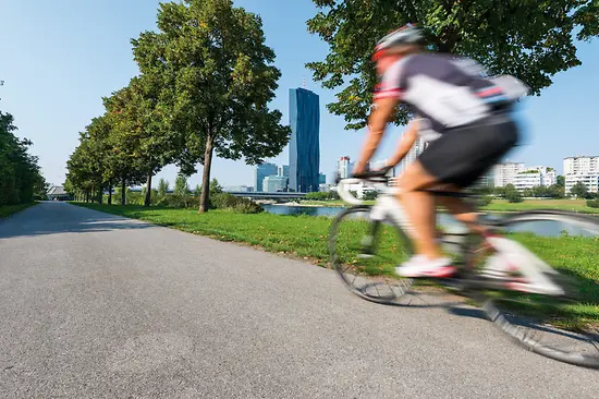 Radfahrer auf der Donauinsel