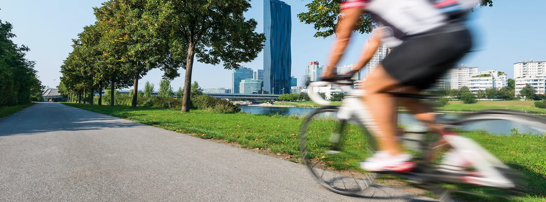 Ciclistas en la Isla del Danubio