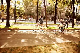 Cyclists on the Ringstrasse boulevard