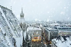 You can see the roofs of Vienna's city center and St. Stephen's Cathedral during snowfall