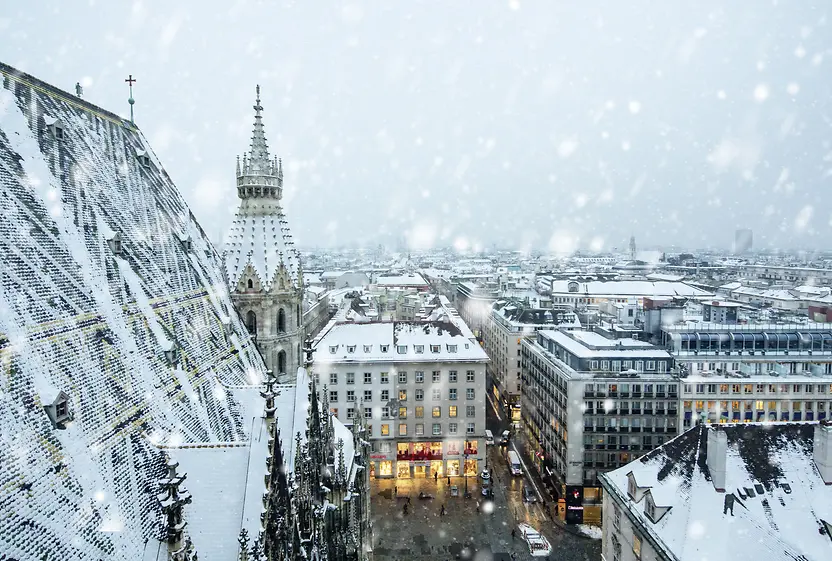 Man sieht die Dächer der Wiener Innenstadt und den Stephansdom bei Schneefall