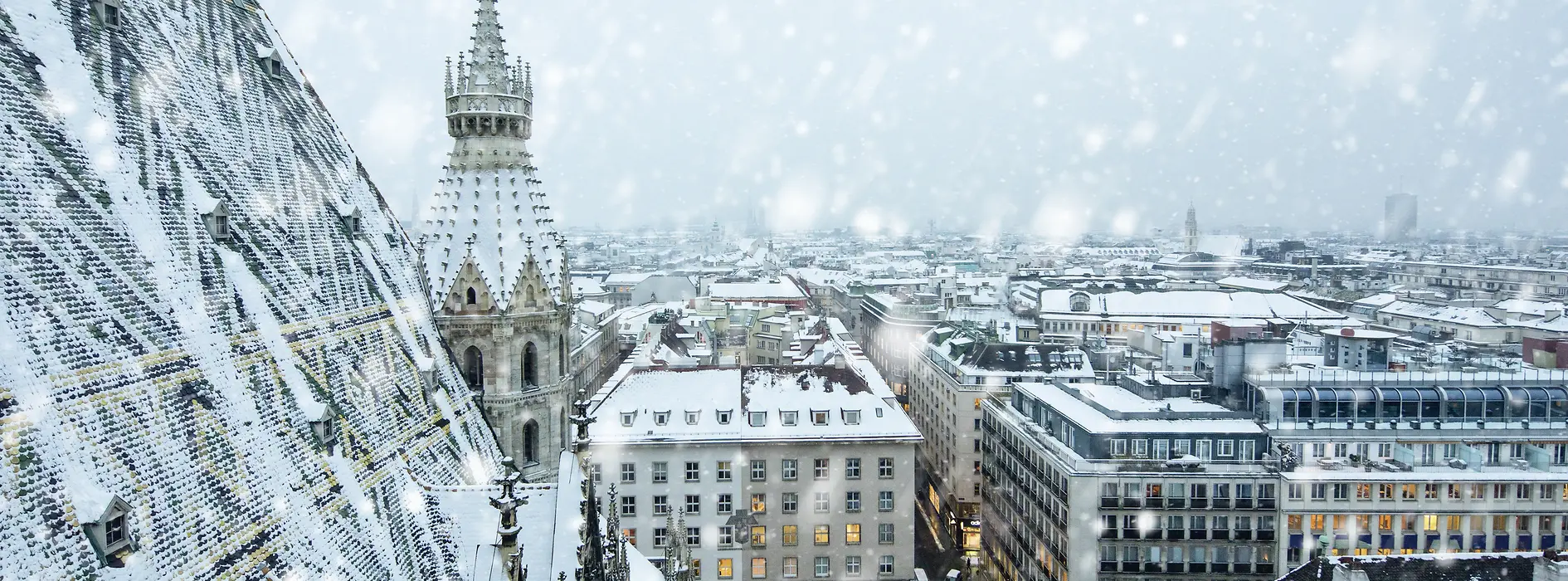 Man sieht die Dächer der Wiener Innenstadt und den Stephansdom bei Schneefall