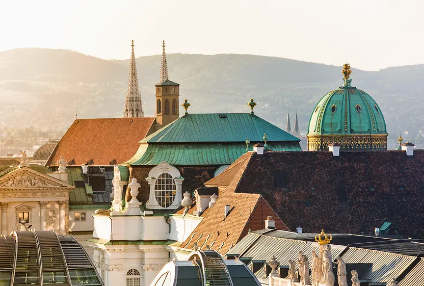 Blick über die Dächer von Wien