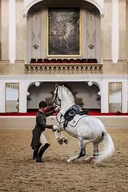 Spanish Riding School