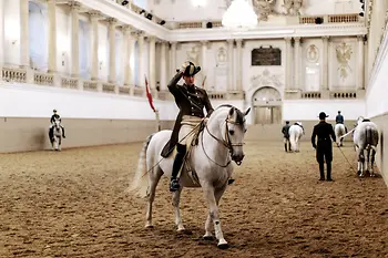 Spanish Riding School, Rider on Lipizzaner