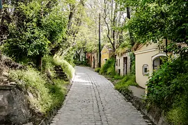 Cellar lane in Vienna