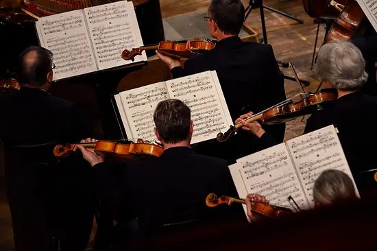 Wiener Symhoniker im Wiener Konzerthaus, Streicher