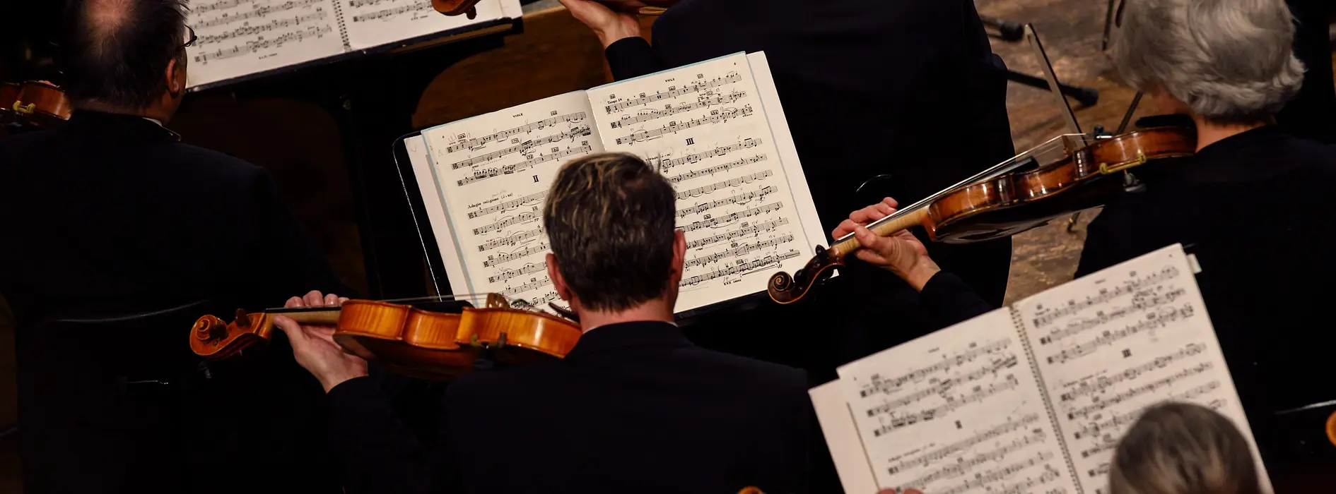 Wiener Symhoniker im Wiener Konzerthaus, Streicher