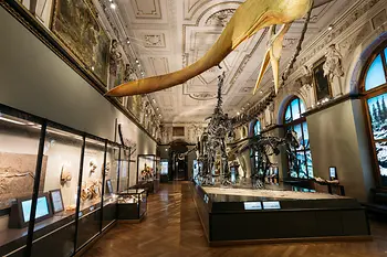 Naturhistorisches Museum Wien, Dinosauriersaal