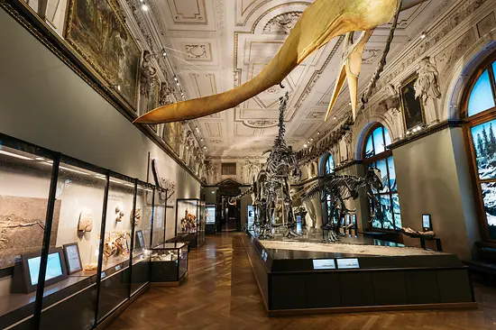 Naturhistorisches Museum Vienna, Dinosaurs