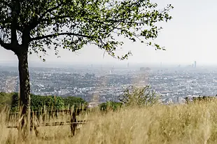 Vue sur Vienne