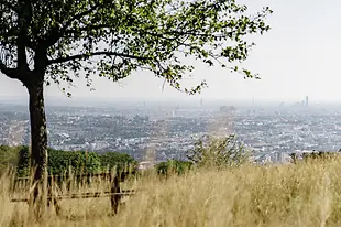 Vue sur Vienne