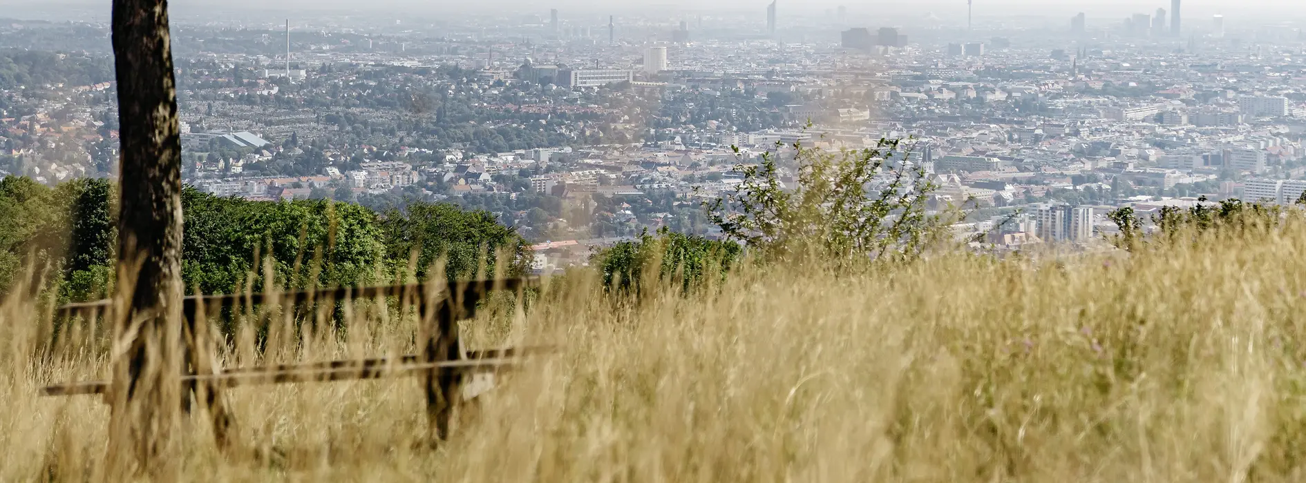 View of Vienna