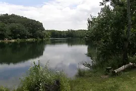 Abkühlung in der Lobau