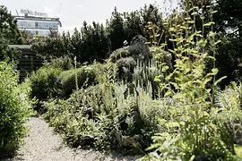 View of the Alpine Garden at the Belvedere 