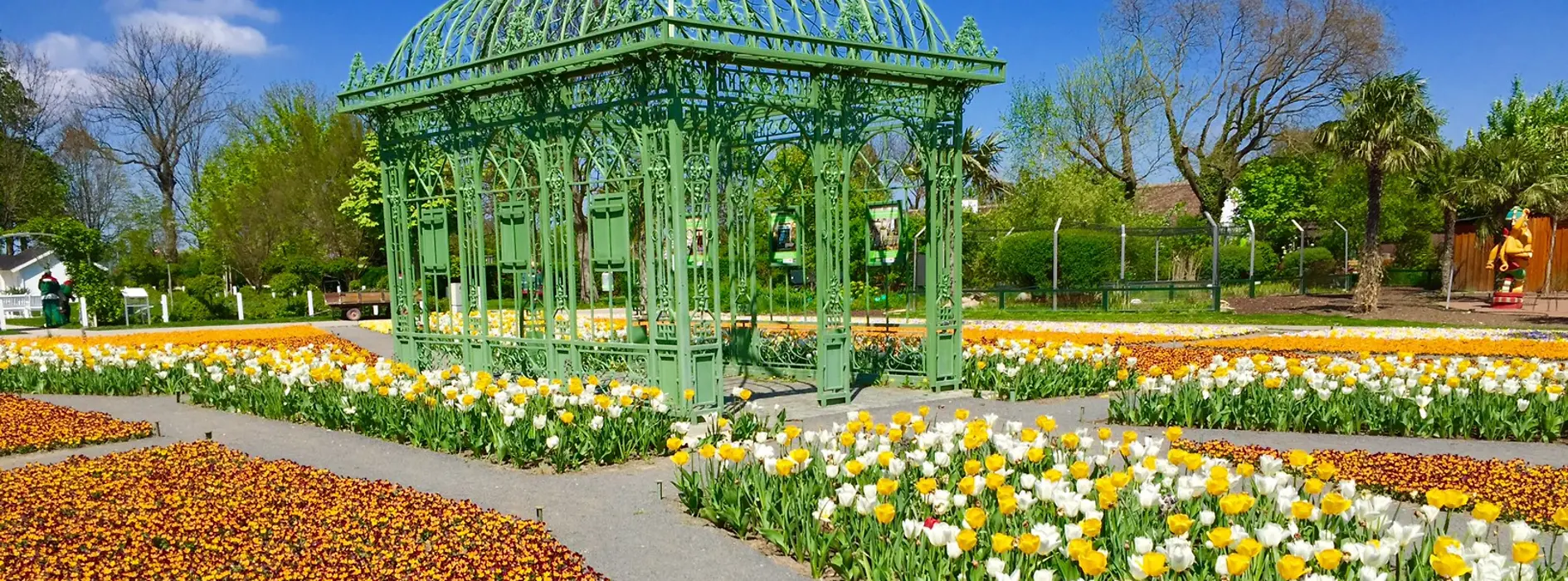 Blooming flowers in Hirschstetten 