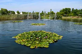 Florarium Blumengärten Hirschstetten