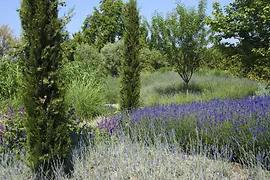 ヒルシュシュテッテン植物園のフローラリウム