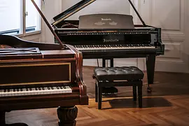 国産品 ベーゼンドルファー 創業175周年 記念誌「Bosendorfer」ピアノ