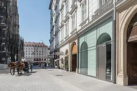 Vista exterior del Dom Museum Wien