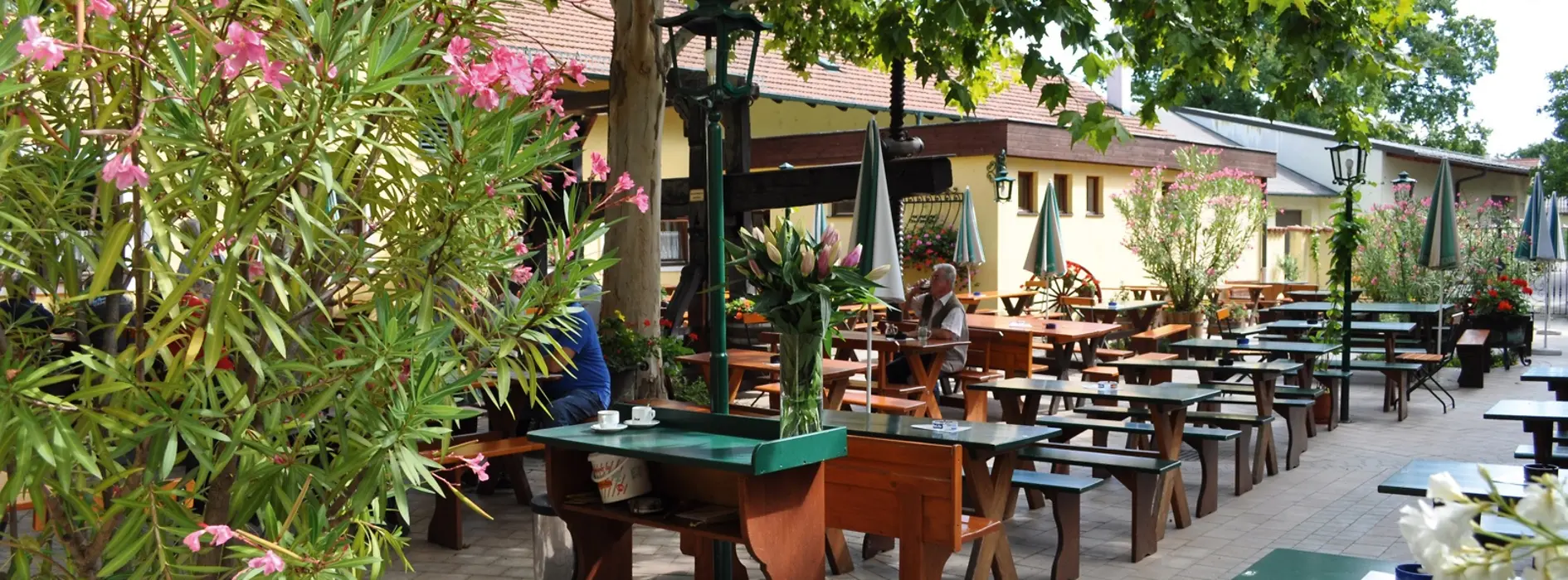 Heuriger & Weingut Karl Lentner, Gastgarten mit Oleander-Sträuchern