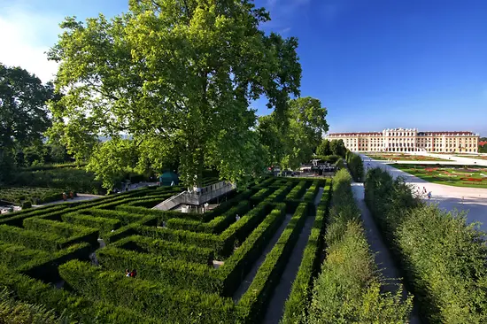 Maze with Schönbrunn Palace in the background