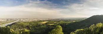 Vista di Vienna dal Kahlenberg