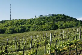 View from the Kahlenberg