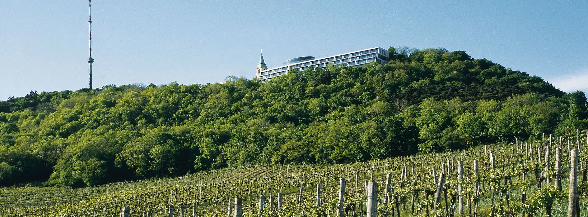 View from the Kahlenberg