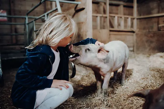 Ferme pour les enfants, Landgut Wien Cobenzl