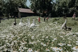 Ferme pour les enfants, Landgut Wien Cobenzl 