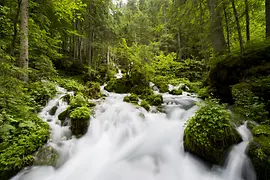 Sorgente d’acqua di alta quota alpina