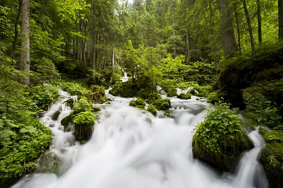 Sorgente d’acqua di alta quota alpina