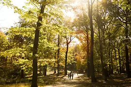 Lainz Game Preserve