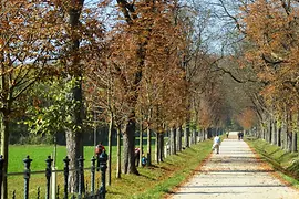 Herbst im Lainzer Tiergarten