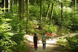 Menschen auf einem Wanderweg