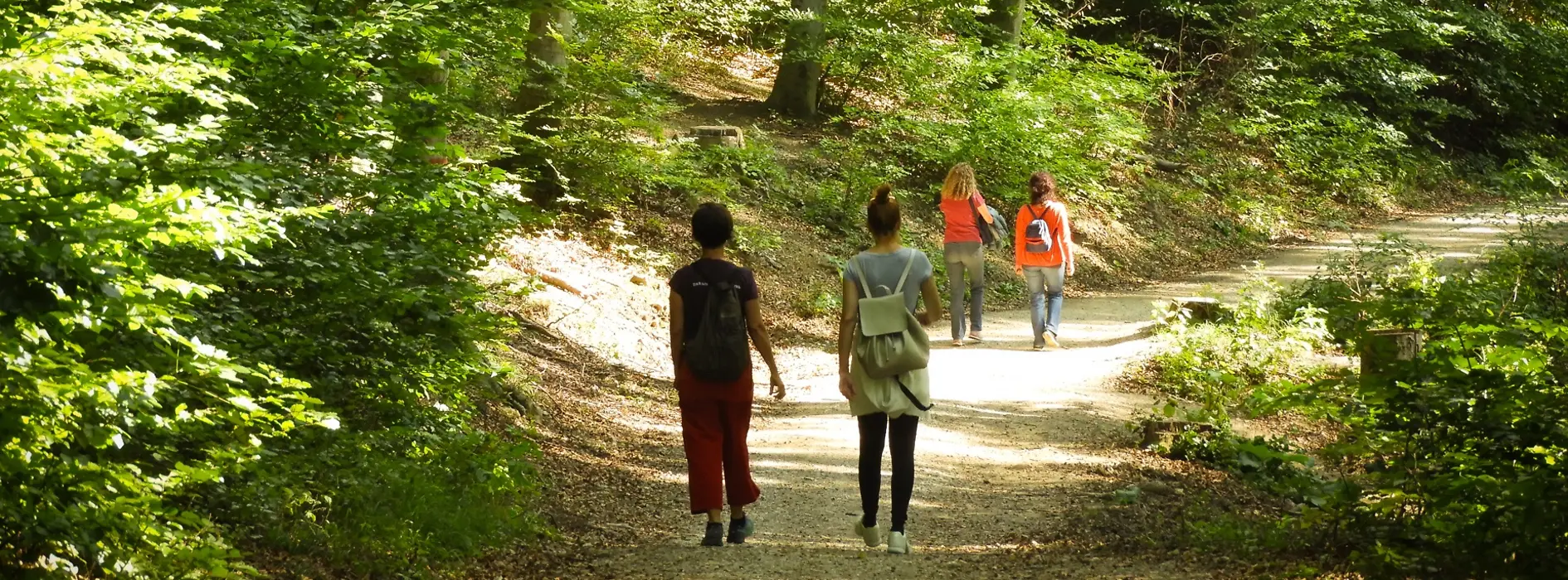 Menschen auf einem Wanderweg