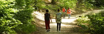 People on a hiking trail