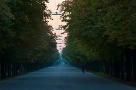 Prater Hauptalle am frühen Morgen 