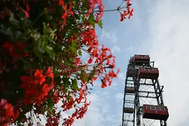 Giant Ferris Wheel