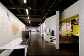 Interior view of the Roman Museum