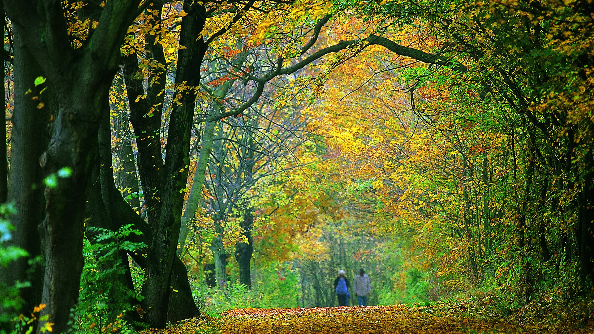 Pleasure in Schwarzenbergpark - vienna.info