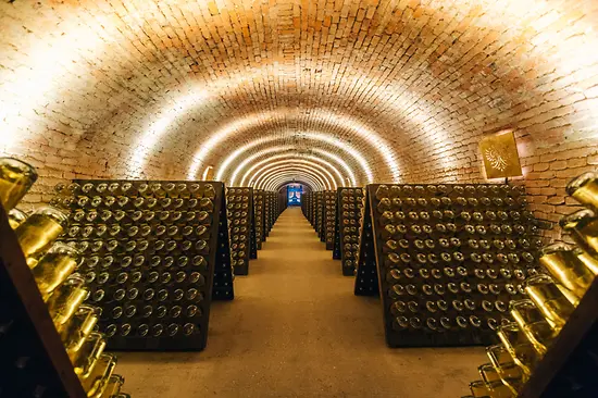 Cellar with champagne