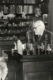 Sigmund Freud in seinem Arbeitszimmer mit Hund Chow , 1937