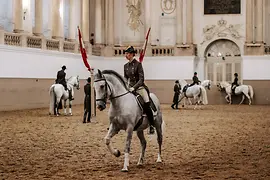 Spanish Riding School